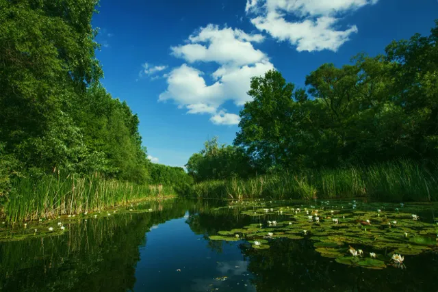 Restore Danube floodplains with BROZ