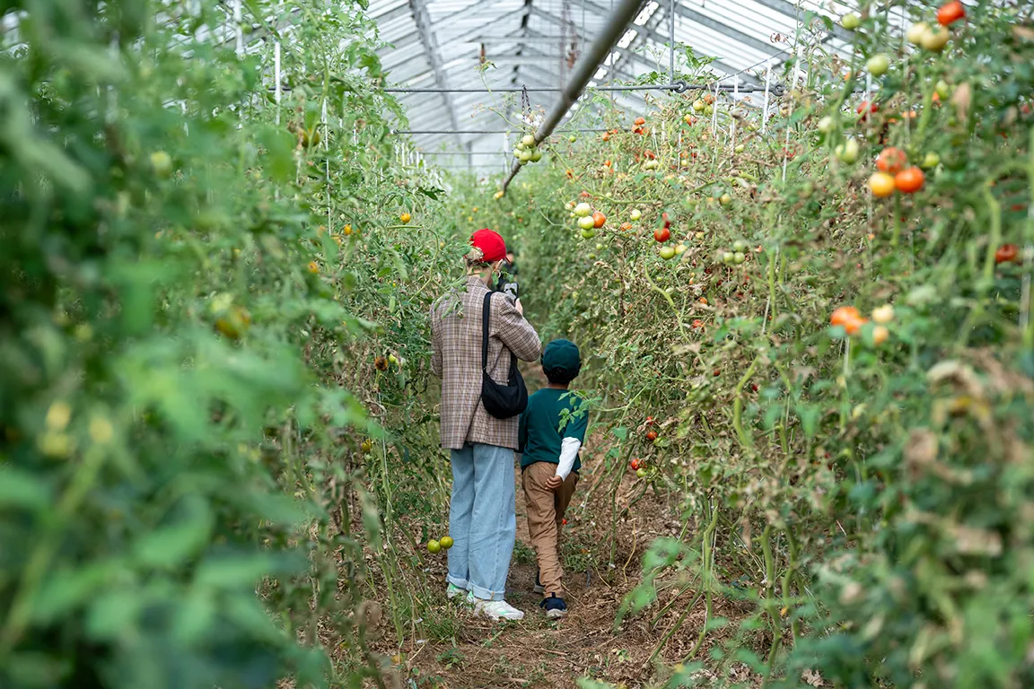 Cityfarm Familiensonntag in Frankfurt