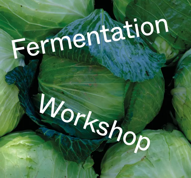 Learn fermentation and Slow Food cooking in Frankfurt, Frankfurt