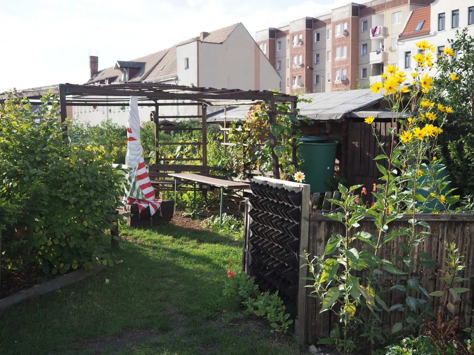 Tend a neighbour plot at IkuGa
