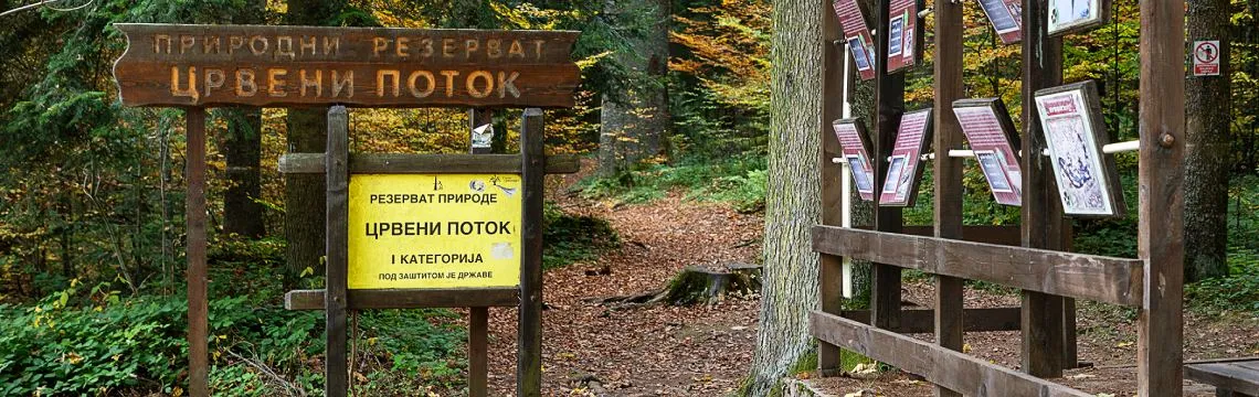 Tara National Park: fog catchers for Pančić's spruce