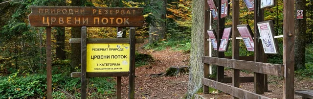 Tara National Park: fog catchers for Pančić's spruce, Belgrade