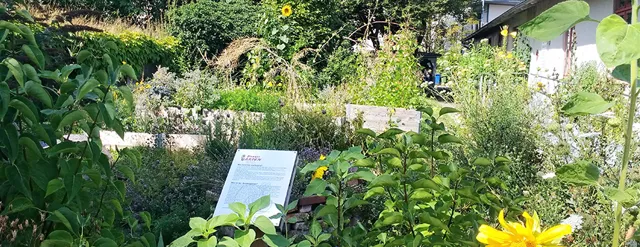 Garden at the Bunkergarten on Thursdays in Oldenburg, Oldenburg