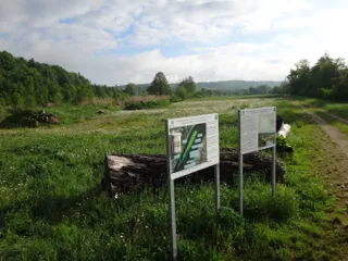 Scythe the Donauinsel Mariaort meadow