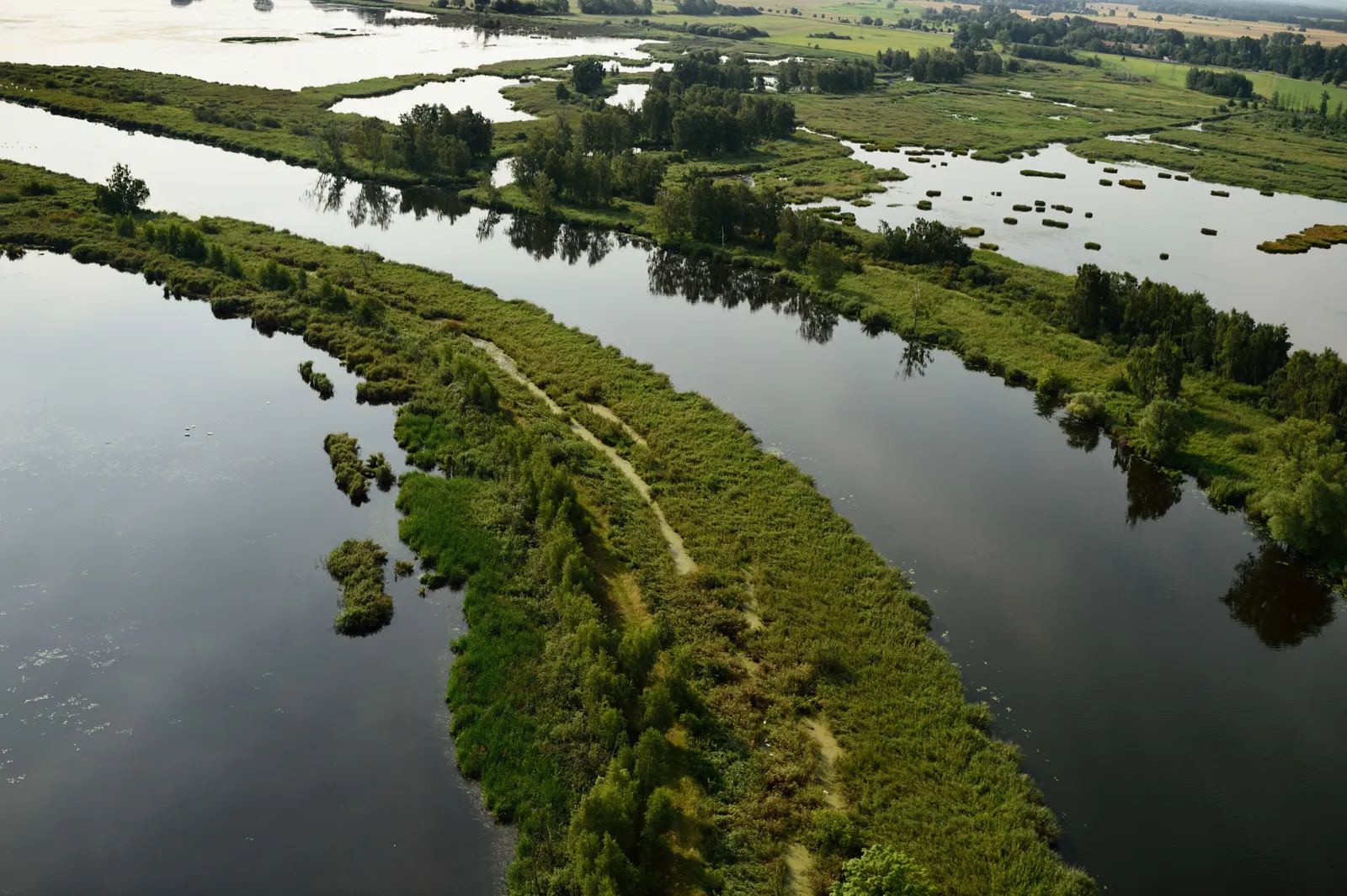 Rewilding Oder Delta e.V., volunteer field days