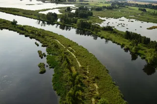 Rewilding Oder Delta e.V., volunteer field days in Berlin