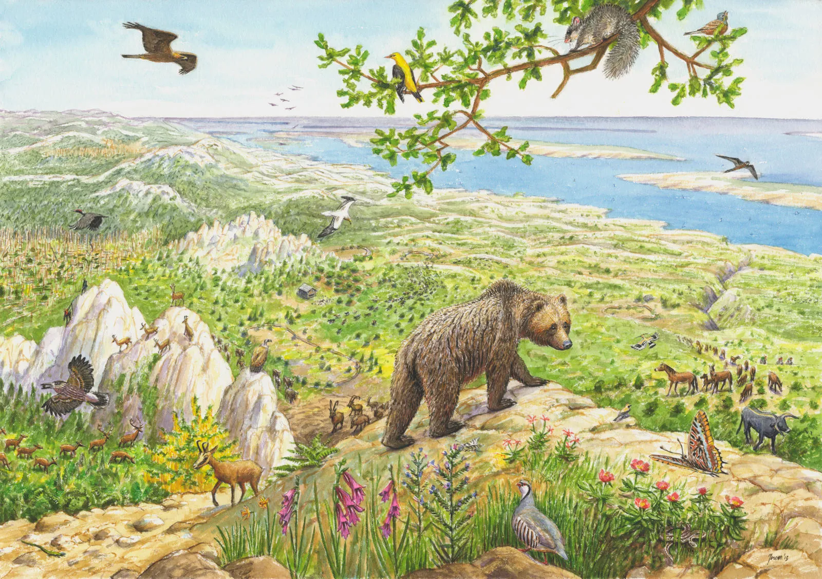 Velebit Mountains rewilding landscape