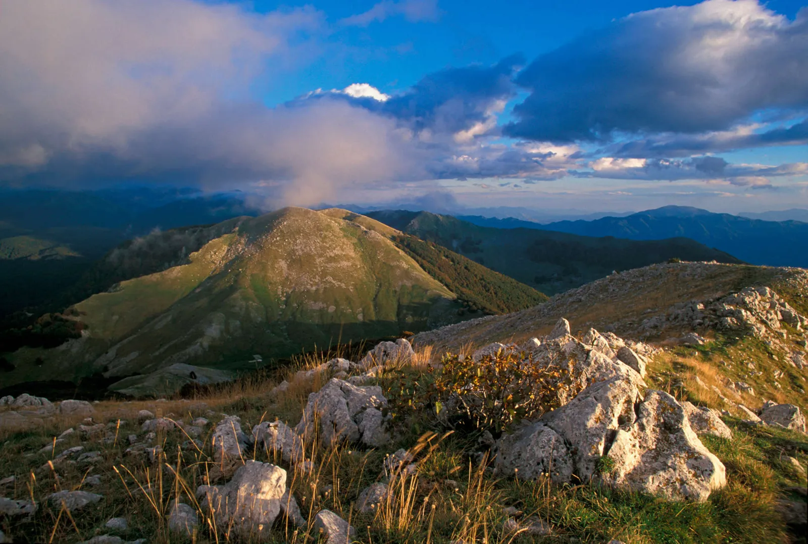Central Apennines rewilding landscape