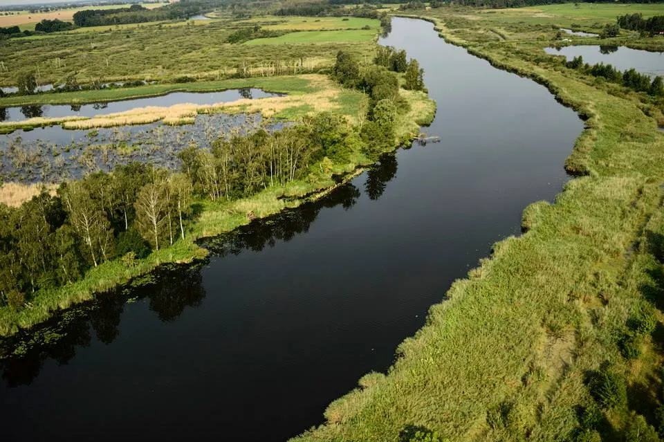 Oder Delta rewilding landscape