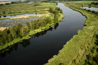Oder Delta rewilding landscape in Berlin