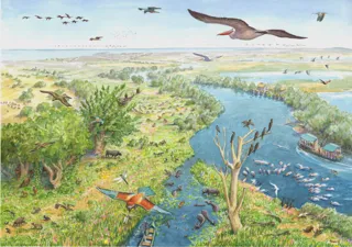 Danube Delta rewilding landscape