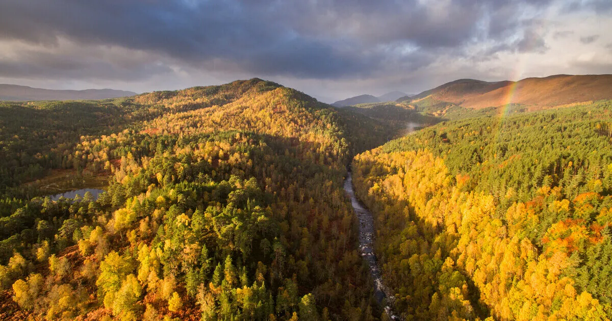 Affric Highlands rewilding landscape