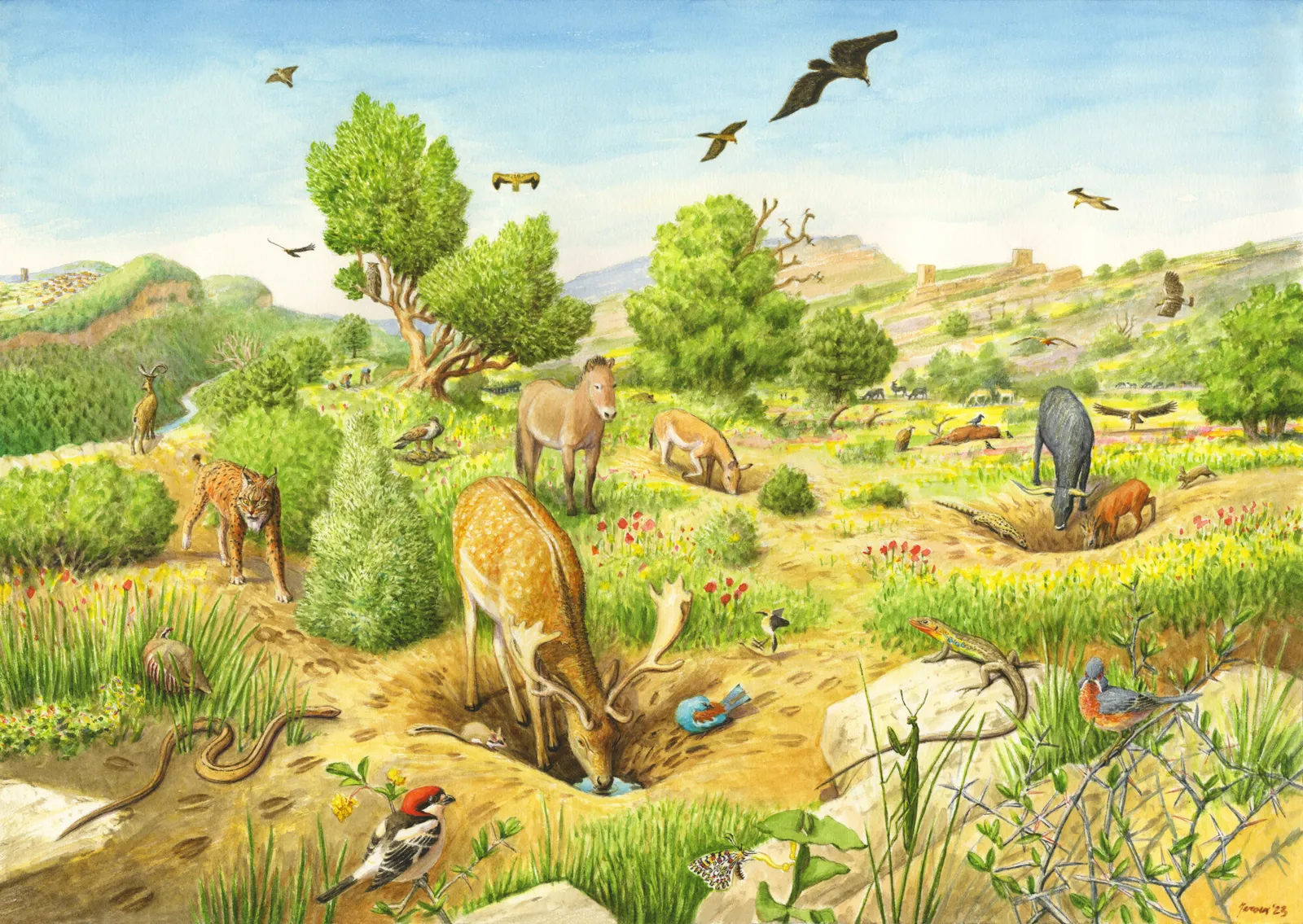 Iberian Highlands rewilding landscape