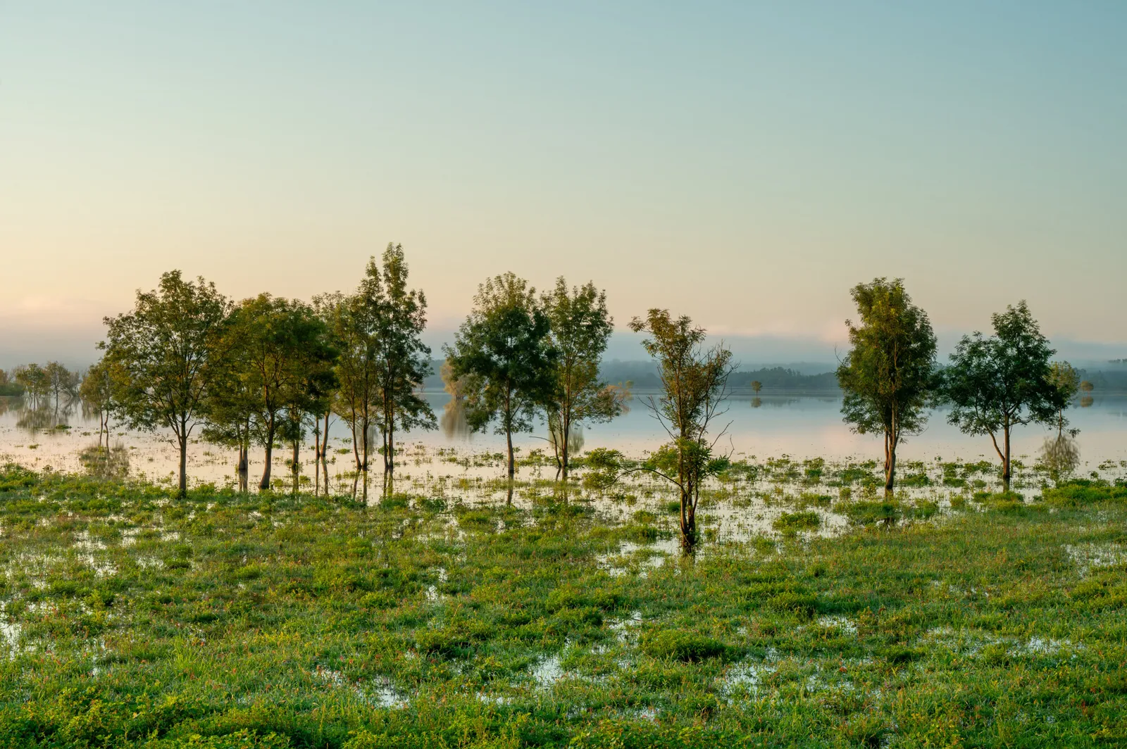 Visit and volunteer at Lonjsko Polje floodplain