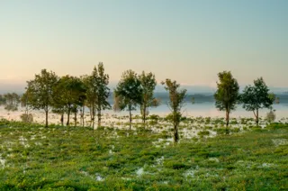 Visit and volunteer at Lonjsko Polje floodplain