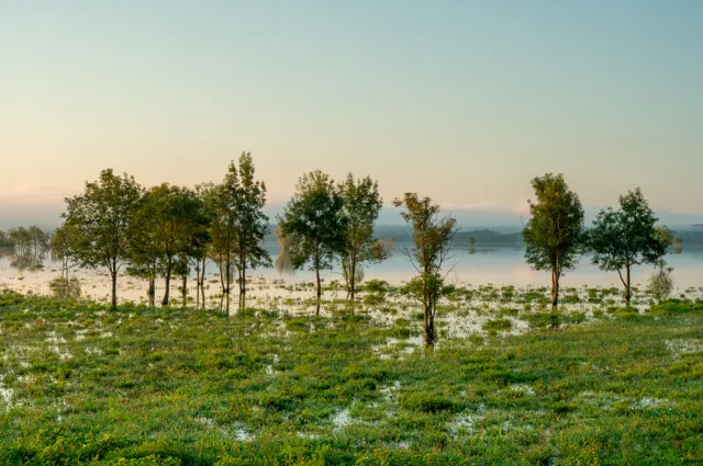Visit and volunteer at Lonjsko Polje floodplain, Zagreb