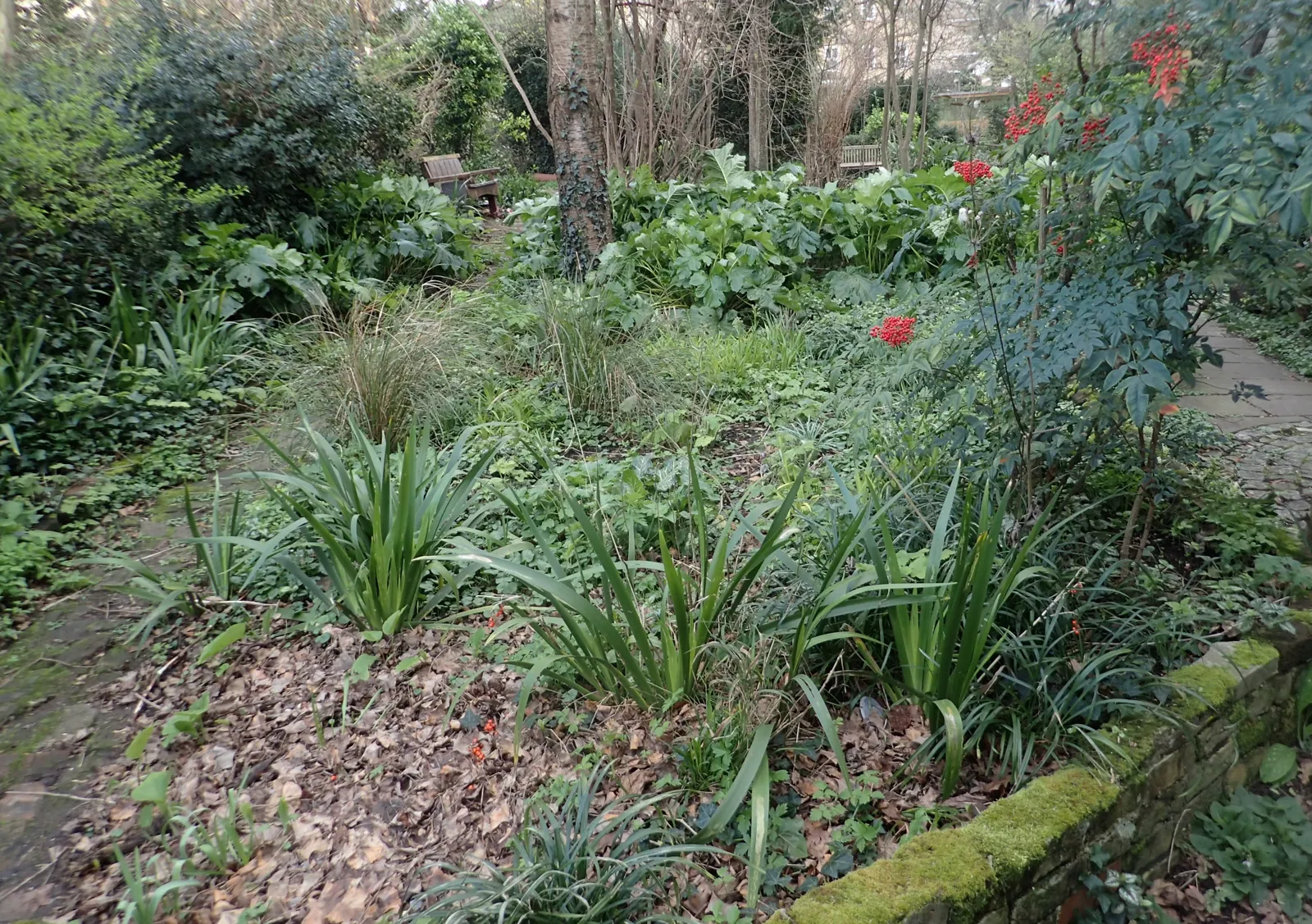 Incredible Edible community planting morning