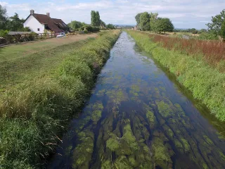 Athelney stepping stone