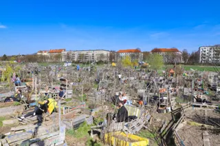Join a solidarity farming group (Solawi) near you in Berlin