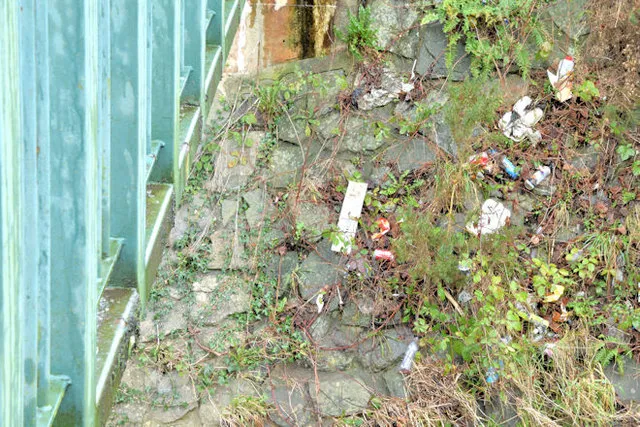 Organise a beach and river litter survey in your area, London