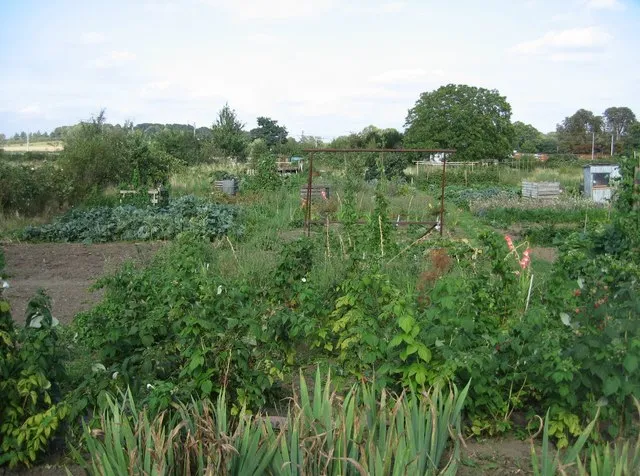 Share seeds through a neighbourhood propagation station, Todmorden