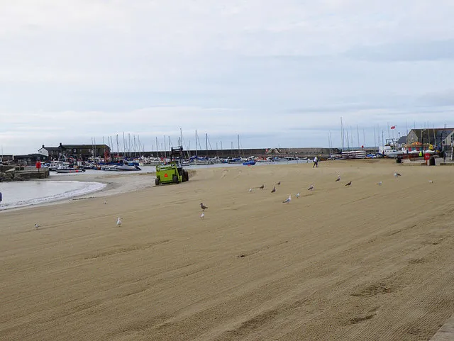 SAS beach clean — join your nearest coast
