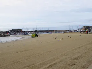 SAS beach clean — join your nearest coast