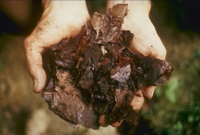 Make organo-mineral fertilizer from agricultural waste