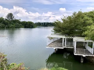 Grow neighbourhood canopy with City in Nature