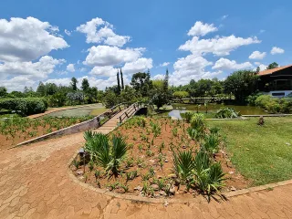 Bring a class into the Cultiva Lab agroforest