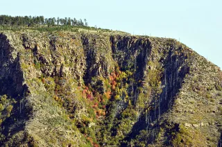 Wildlife corridors and the Mogollon Wildway