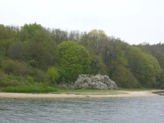 Visit the Dummersdorfer Ufer clubhouse