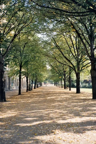 Kühle Plätze Stadtteilspaziergang, Munich