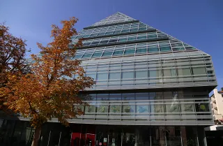 Ulm